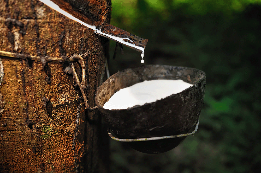 What Raw Materials Are Used to Make Rubber